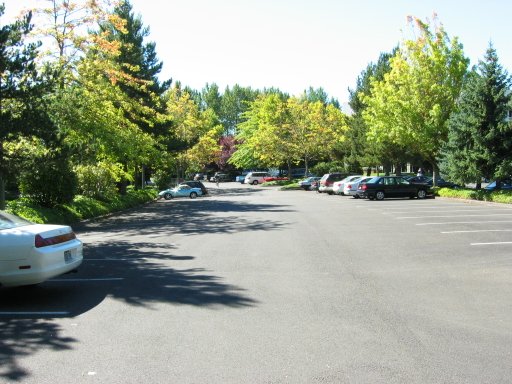 [Location 71 looking south]