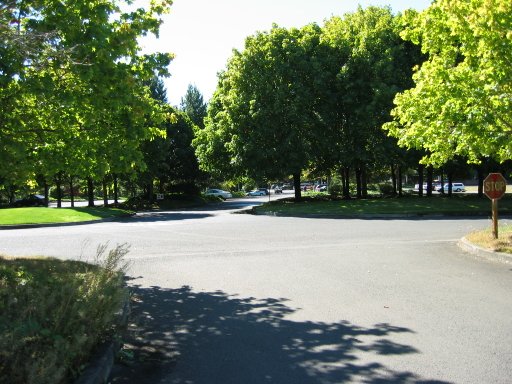 [Location 73 looking south]