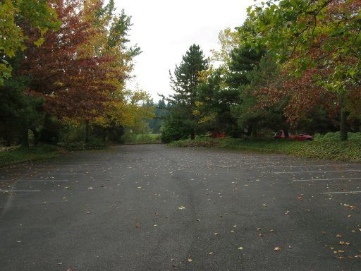 [Location 87 looking south]