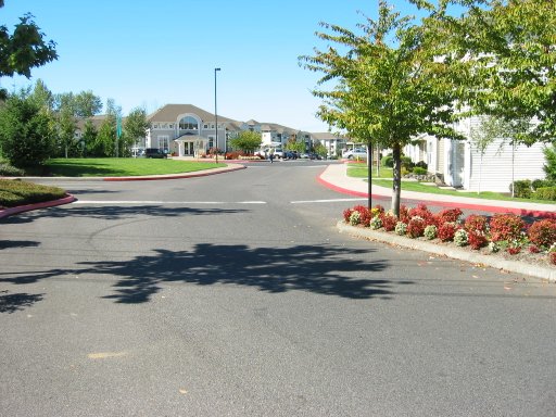 [Location 36 looking west]