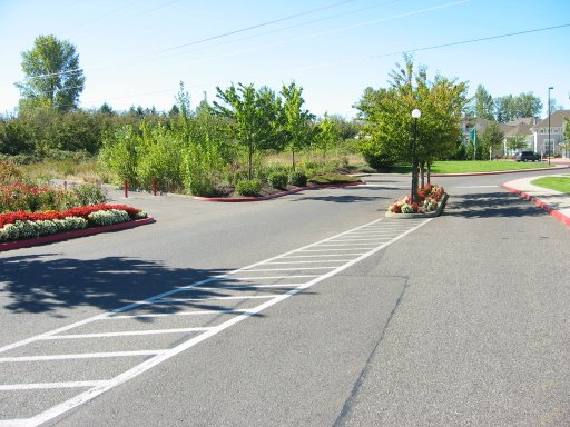 [NW Trail Walk Dr & NW 206th Ave looking west]