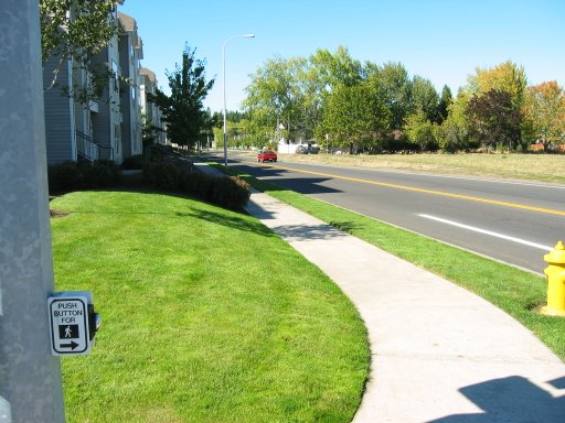 [NW Wilkins St & NW 206th Ave looking west]