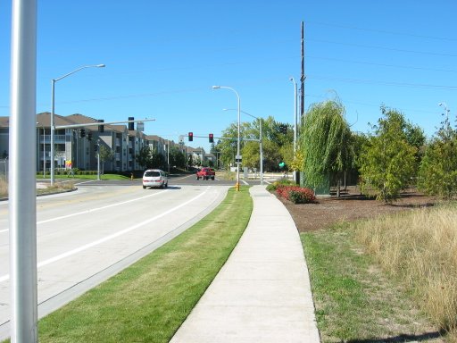 [Location 44 looking west]