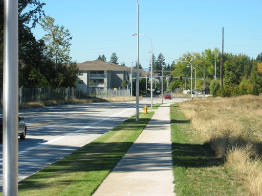 [Location 45 looking west]