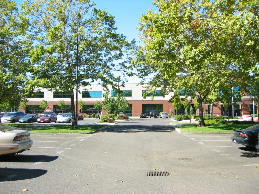 [Location 52 looking west]