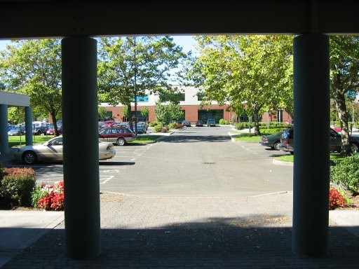 [Location 54 looking west]