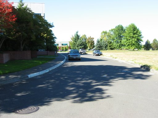 [Location 69 looking west]
