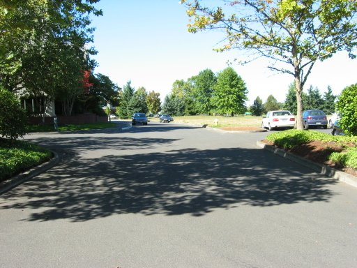 [Location 70 looking west]