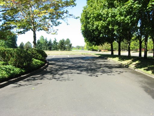 [Location 71 looking west]