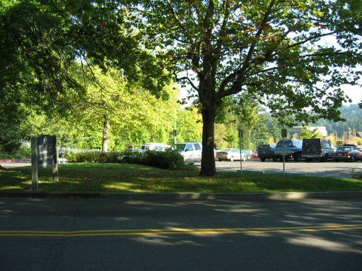 [Location 10 looking east]