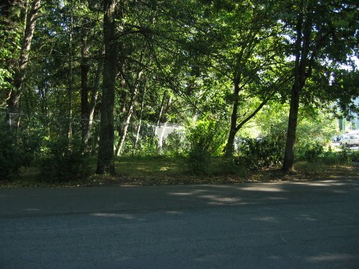 [Location 11 looking east]