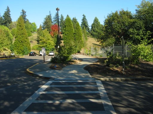 [Location 12 looking east]