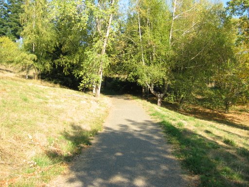 [Location 15 looking east]