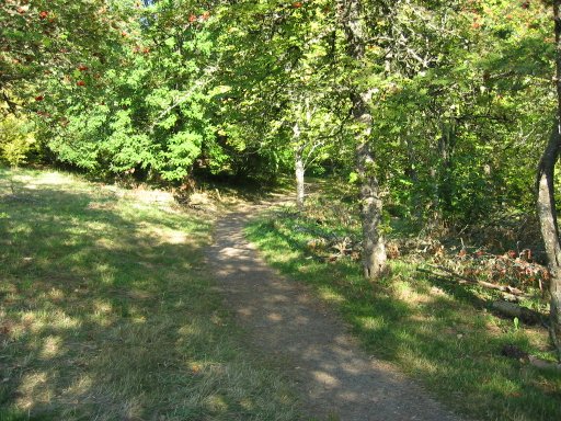 [Location 18 looking east]