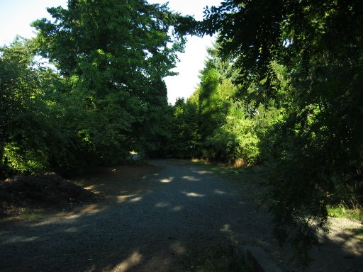 [Location 22 looking east]