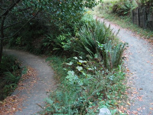 [Location 26 looking east]