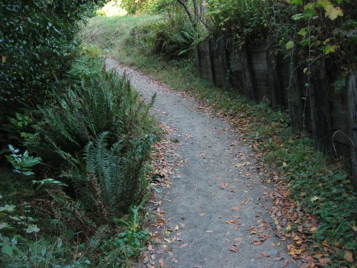 [Location 26r looking east]