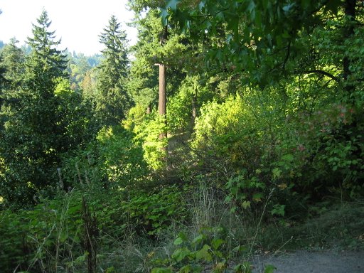 [Location 27 looking east]