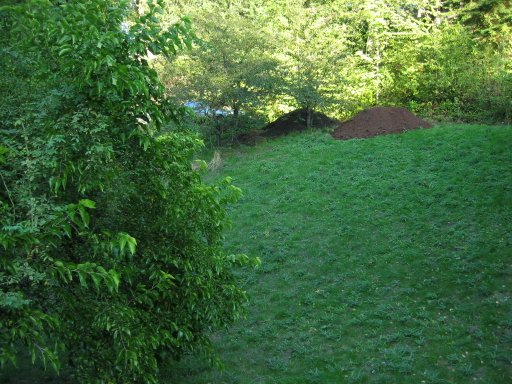 [Location 33 looking east]