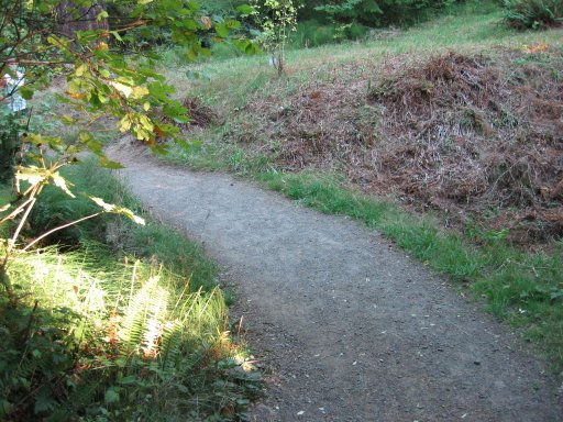 [Location 34 looking east]