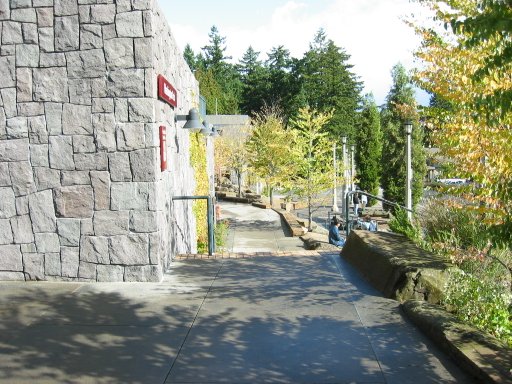 [Location 41 looking east]