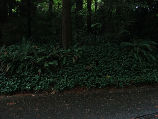 [Location 49 looking east]