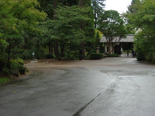 [Location 50 looking east]
