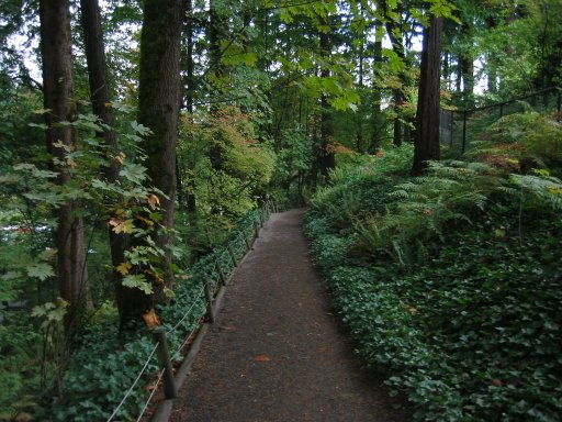 [Location 53 looking east]