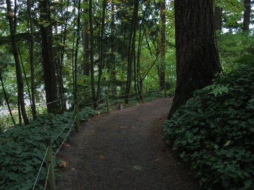 [Location 54 looking east]