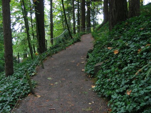 [Location 57 looking east]