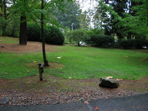 [Location 59 looking east]