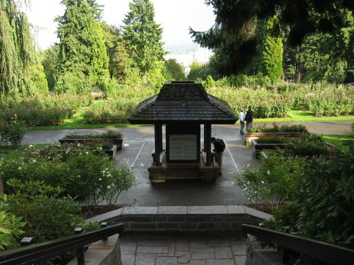 [Location 64 looking east]