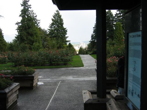 [Location 65 looking east]
