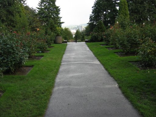 [Location 66 looking east]