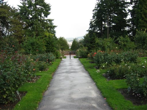 [Location 67 looking east]