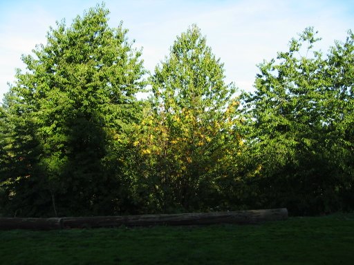 [Location 70b looking east]