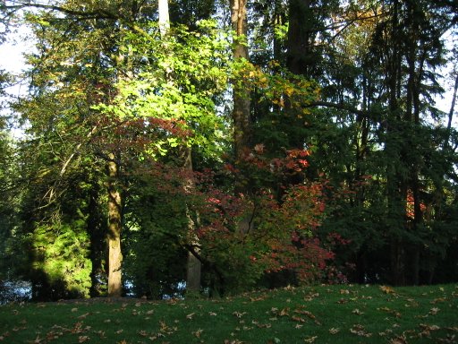 [Location 71b looking east]