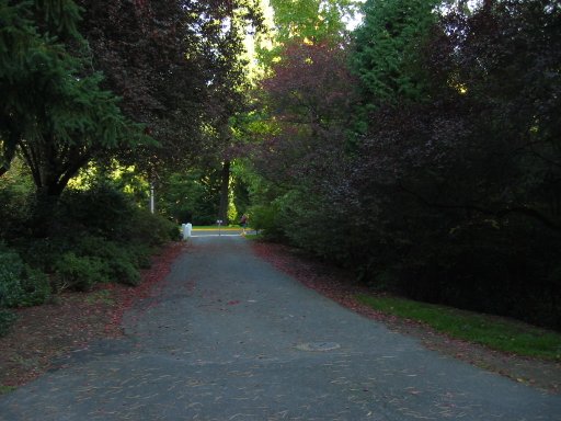 [Location 73 looking east]