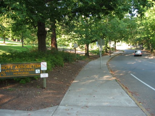 [Location 10 looking north]