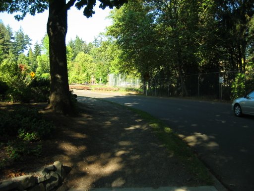 [Location 11 looking north]