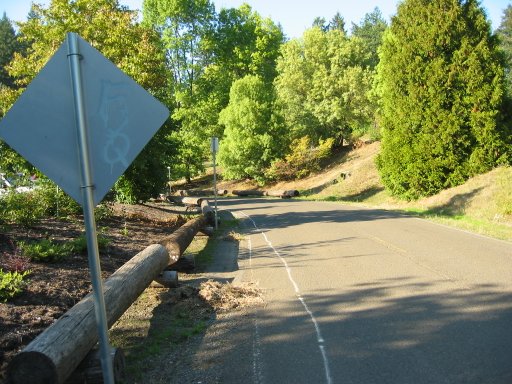 [Location 13 looking north]