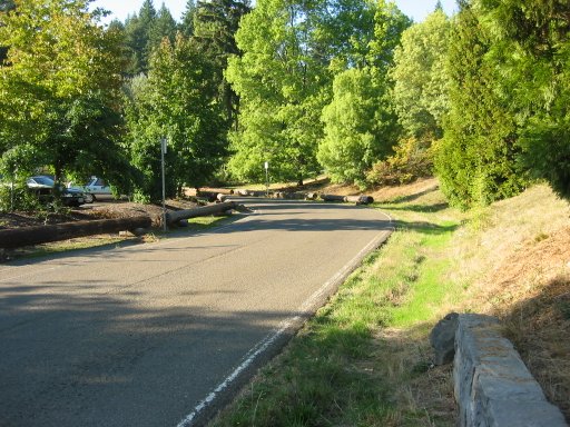 [Location 14 looking north]