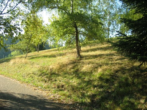 [Location 16 looking north]