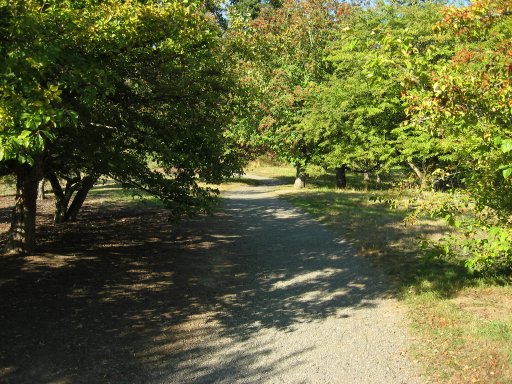 [Location 17 looking north]