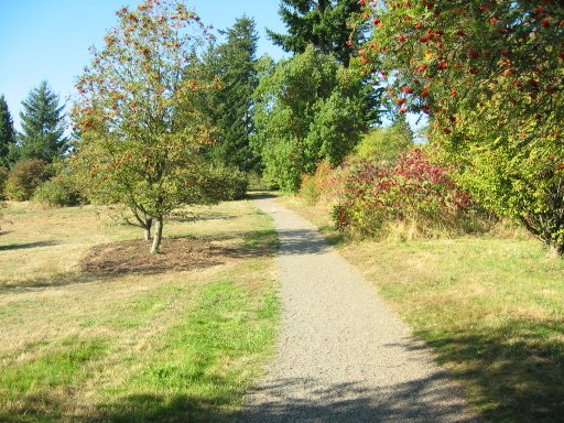 [Location 18 looking north]