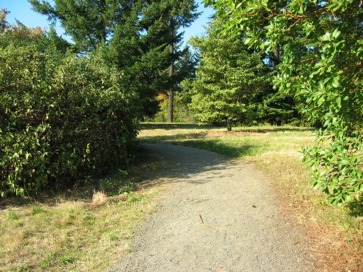 [Location 19 looking north]