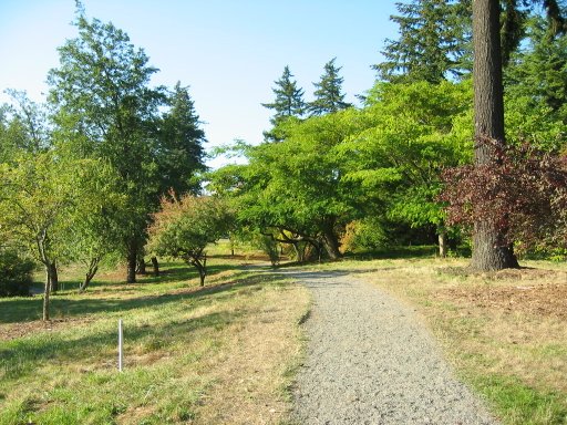 [Location 20 looking north]