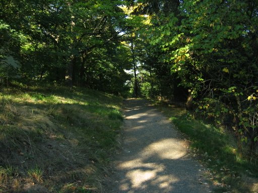 [Location 21 looking north]