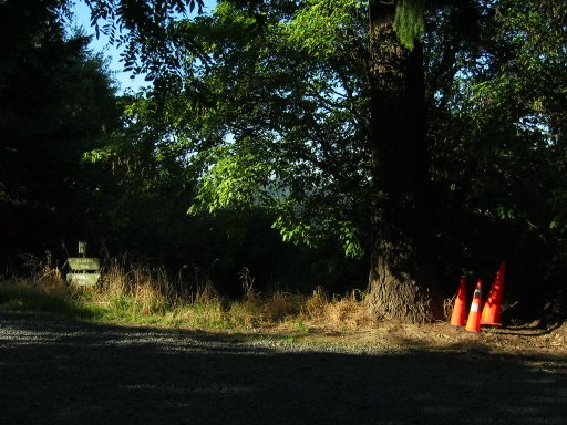 [Location 22 looking north]