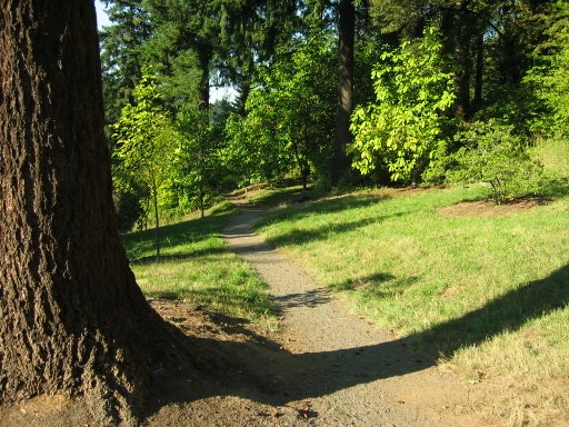 [Location 29 looking north]